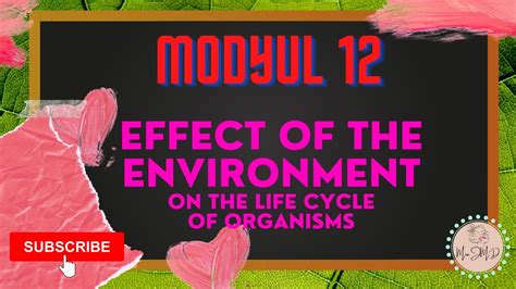 Science 4 Q2 Module 12 Effect Of The Environment On The Life Cycle Of Organisms Melcbased