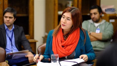 Diputada Pérez denuncia que veto al proyecto de ley pro inversión