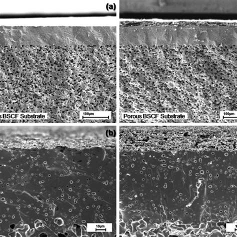 Oxygen Transport Through A Miec Membrane Download Scientific Diagram