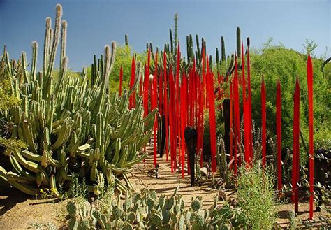 Desert Botanical Garden Phoenix | Image joyeux anniversaire, Vœux de ...