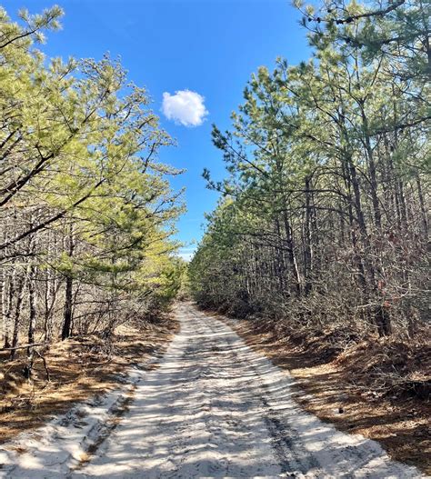 The Pine Barrens and Ocean County Soil Conservation District