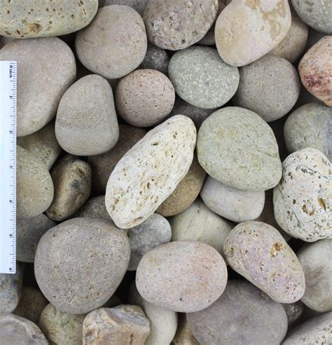 Buff Mexican Beach Pebble Wholesale Stone Solutions