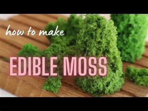 95 HOW TO MAKE EDIBLE MOSS Edible Moss Sponge YouTube In 2024