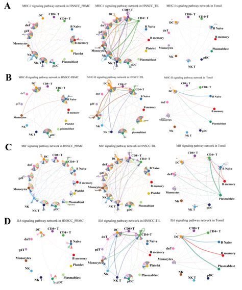 Specific Signaling Events In The Signal Pathway Network The Edge Color Download Scientific