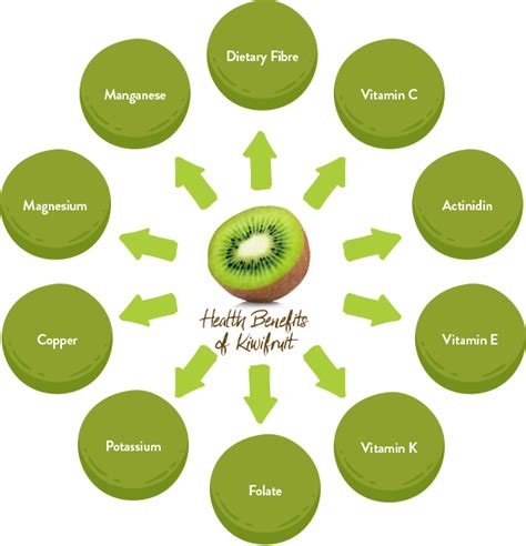 Green Kiwifruit – Zeactives™