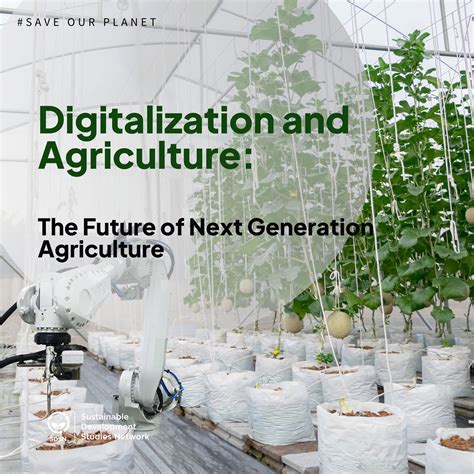 Unlocking The Secrets Of The Anon IB Archive: Its Predictions For The Future Of Agriculture Image 12