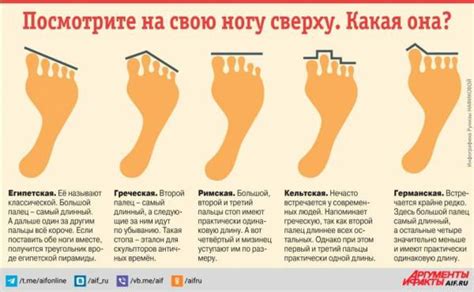 Какие бывают стопы? Инфографика » Новости со всего мира,Интересные ...