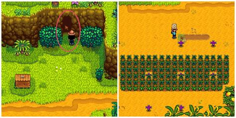 Stardew Valley What To Grow For The Ginger Island Frog