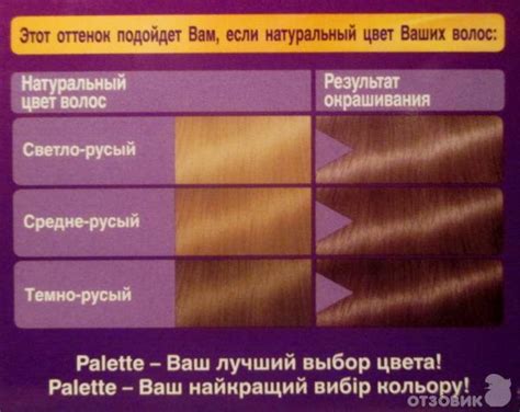 Отзыв о Стойкая крем-краска Palette C6 "Холодный средне-русый" | О моей ...