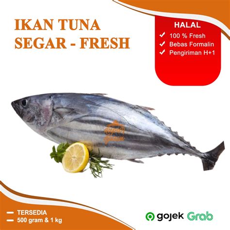 Jual IKAN TUNA MURNI SEGAR FRESH BEKU 500G 500GRAM 1 KG KILOAN PER EKOR