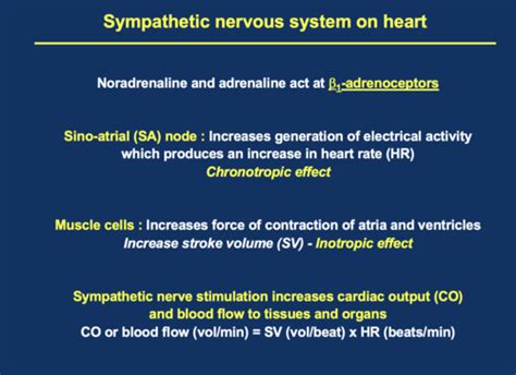 Cardiovasc System Homeostasis And Regulation Flashcards Quizlet