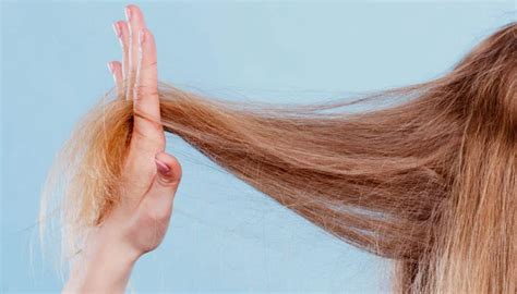 Pontas Espigadas 12 Dicas Para Cuidar Do Cabelo E Recuperar As Pontas