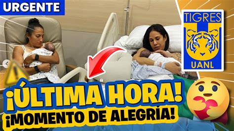 Anuncio Oficial Momento De Alegr A Ltimas Noticias Tigres Uanl