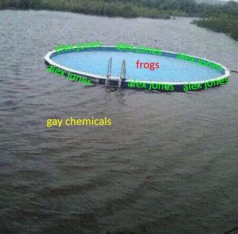 He Protects Them Alex Jones Gay Frogs Conspiracy Know Your Meme