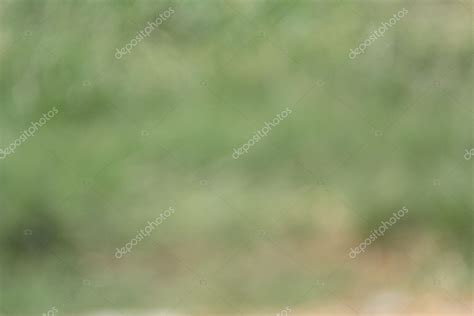 Blurred Grass Background Stock Photo By ©luknaja 50913957