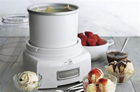 Best Ice Cream Maker in 2020 - Ice Cream Maker Reviews