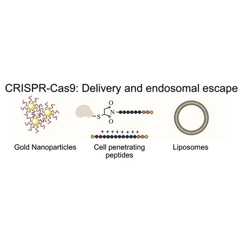 New Approaches To Moderate Crispr Cas9 Activity Addressing Issues Of Cellular Uptake And