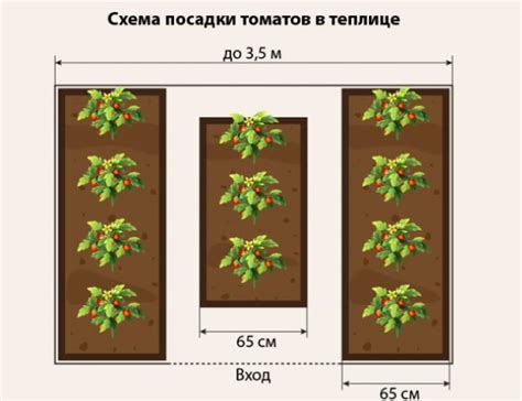Томат Благовест. Описание сорта, фото, отзывы, характеристика, урожайность