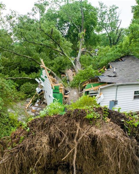 Huge Centuries Old Tree Falls On House Near Downtown Conway Arkansas