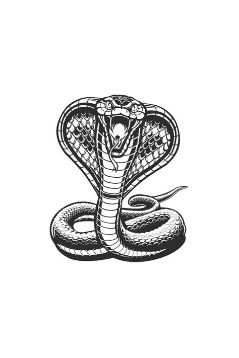 21 Realistic Snake Tattoo Drawing Ideas Artofit