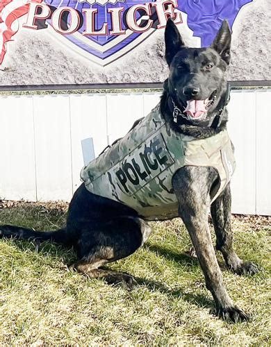 Elkhart Police Departments K9 Receives Body Armor Donation News