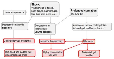 Acalculous Cholecystitis Deranged Physiology