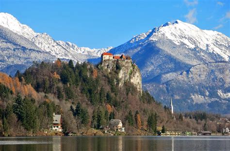 bled   contemporary museum demokracija