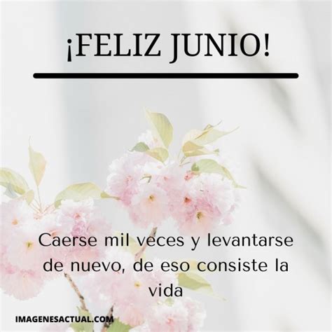 Feliz Junio Imágenes Actual