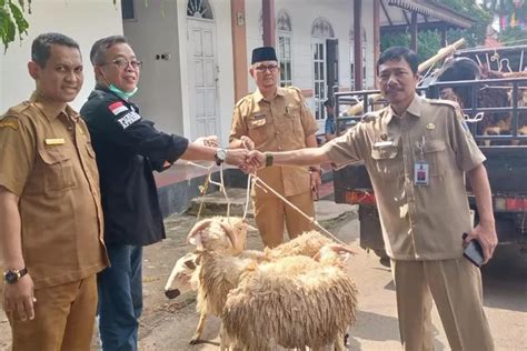 Csr Ikpp Serang Berikan Bantuan Hewan Kurban Untuk Masyarakat