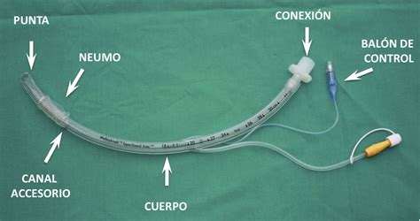 Tubo Endotraqueal Flowchart