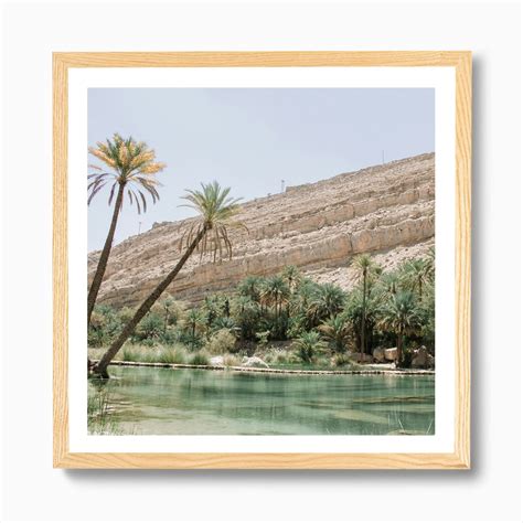 Tropical Desert Oasis Landscape Art Print By Travel Art Wall Prints Fy