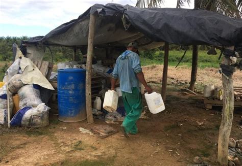 Notícias Adaf retira de circulação cerca de 3 4 mil litros de