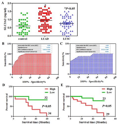 Serum Slc3a2 In Luad And Lusc Patients A Slc3a2 Serum Levels From Download Scientific