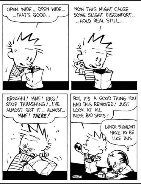 Pin By Larry Green On Calvin And Hobbes In Calvin And Hobbes