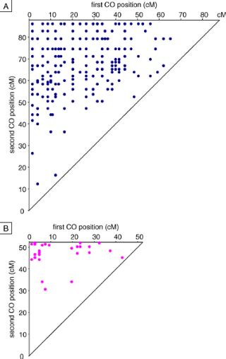 Sex Specific Crossover Distributions And Variations In Interference