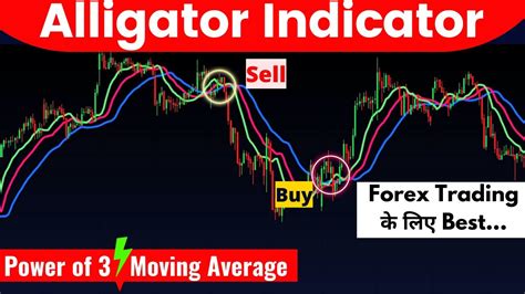 Alligator Indicator Strategy Best Williams Alligator Strategy For