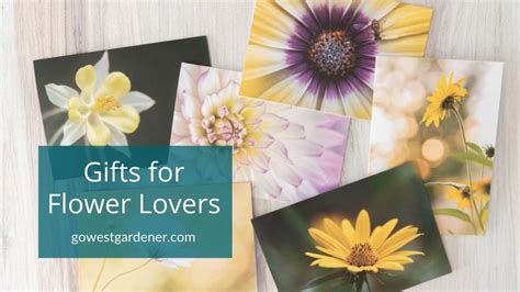 T Ideas For Flower Lovers 9 Ts Perfect For Beginner Gardeners