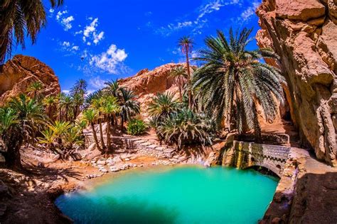 The Mountain Oasis Of Chebika Tunisia Oasis Tourist Places