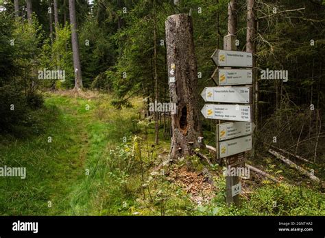 Señal donde la ruta de senderismo Goldsteig se divide en una ruta