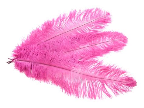 Mini Prime Ostrich Feathers 20 30cm Jaffe