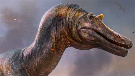 Perfectly Preserved Dinosaur Embryo Found In China Bbc News