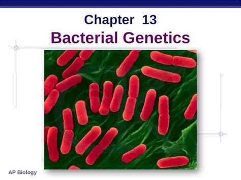 PPTX Chapter 13 Bacterial Genetics Why Study Bacterial Genetics Its