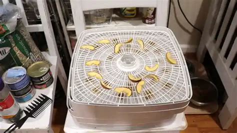 Why Does My Nesco Food Dehydrator Shut Off Only 7 Reasons