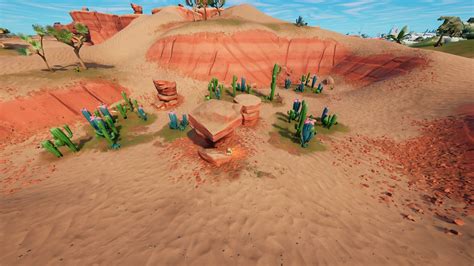 Where To Find Different Kinds Of Cactus Plants To Destroy In Fortnite