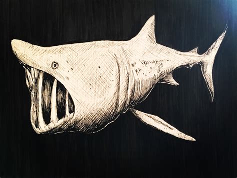 Basking shark I drew... trying out hatch- style drawing : r/drawing