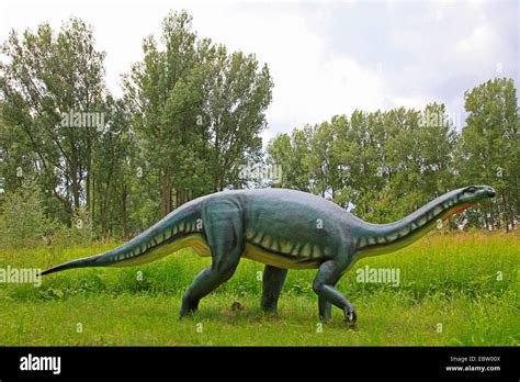 Brontosaurus Hi Res Stock Photography And Images Alamy