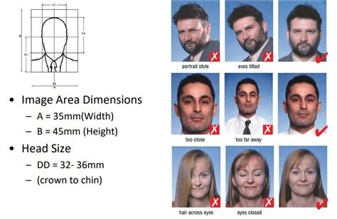 Passaporto Per Minorenni Ambasciata D Italia A Tokyo Hot Sex Picture