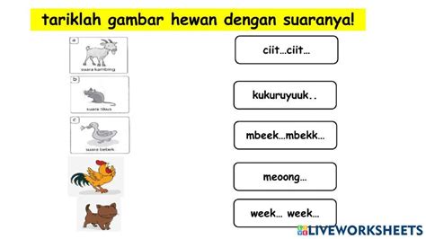 1220381 Suara Hewan Andreas007 Liveworksheets