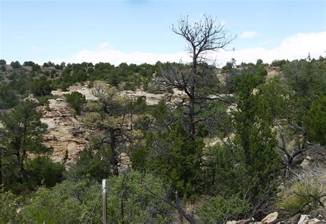 Mills Canyon New Mexico Hidden In The Vast Grasslands Of Flickr