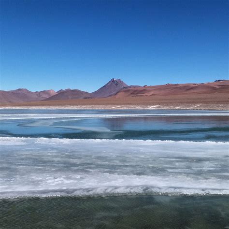 Ruta De Los Salares Tour Atacama Salt Flats Caminandes